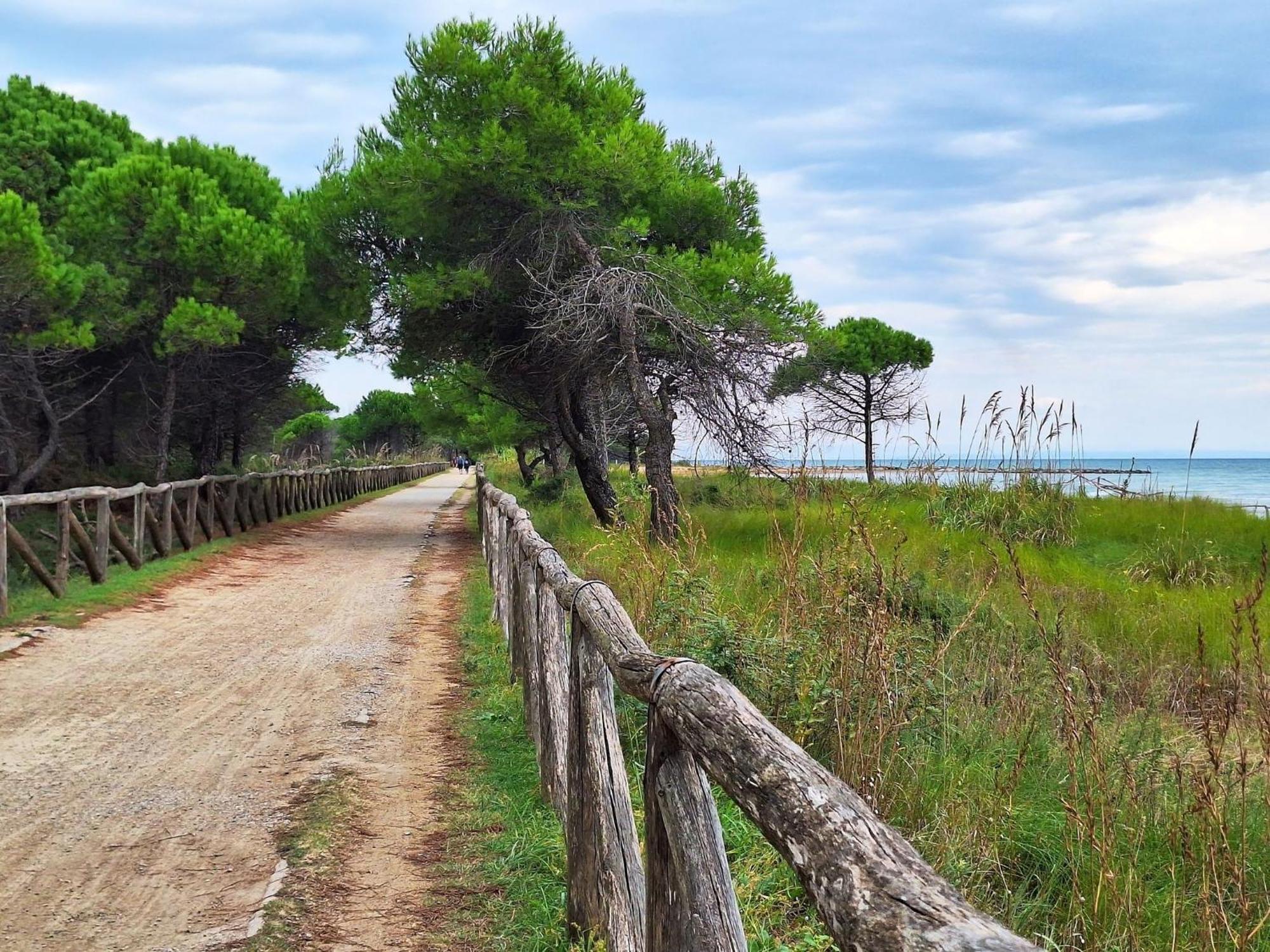 Appartamento With Garden On The Shores Of